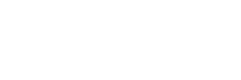 Citadel Agency